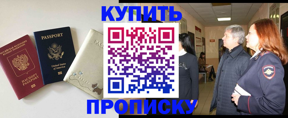 где прописаться в Покрове